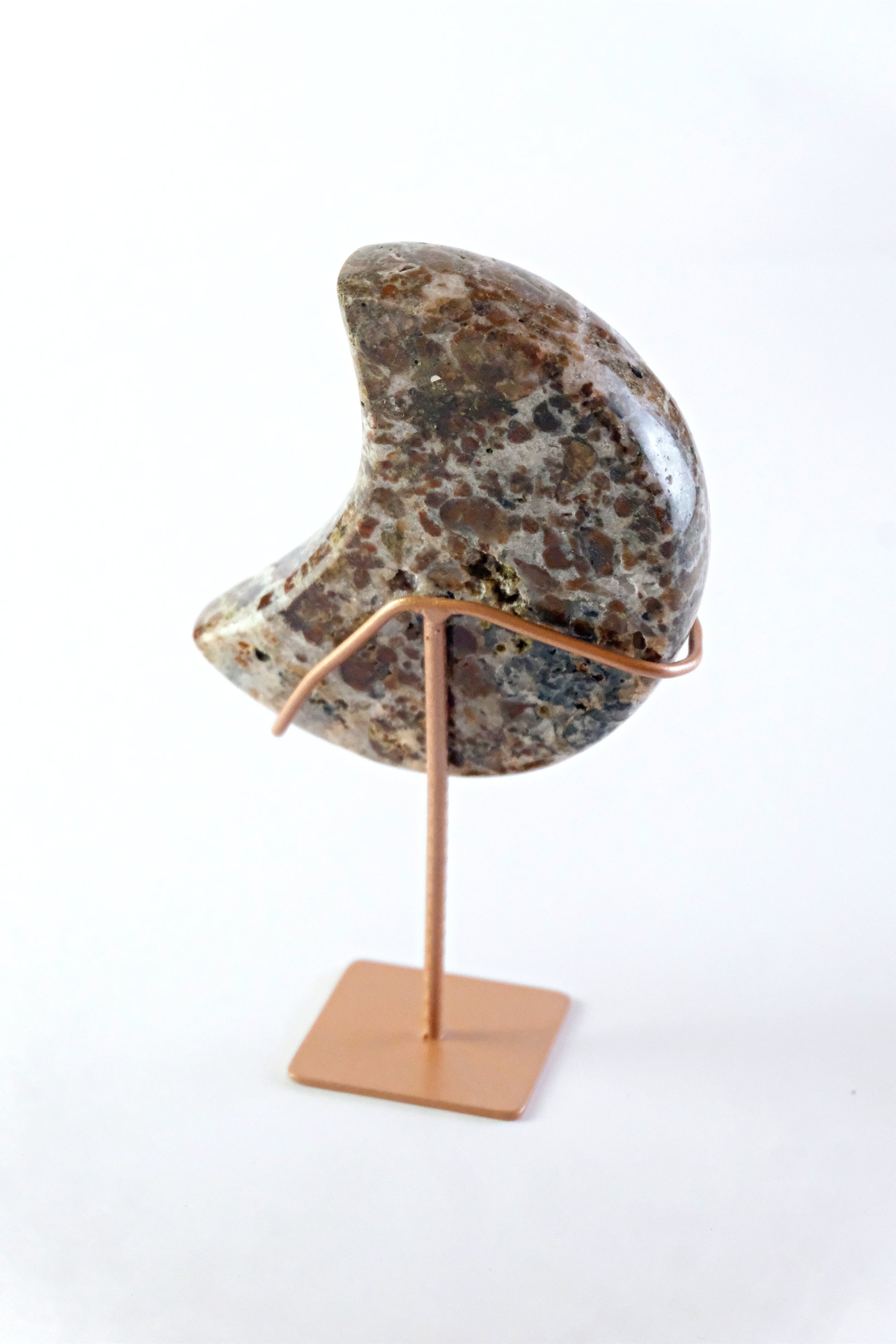 Wild Instincts | Leopard Skin Jasper