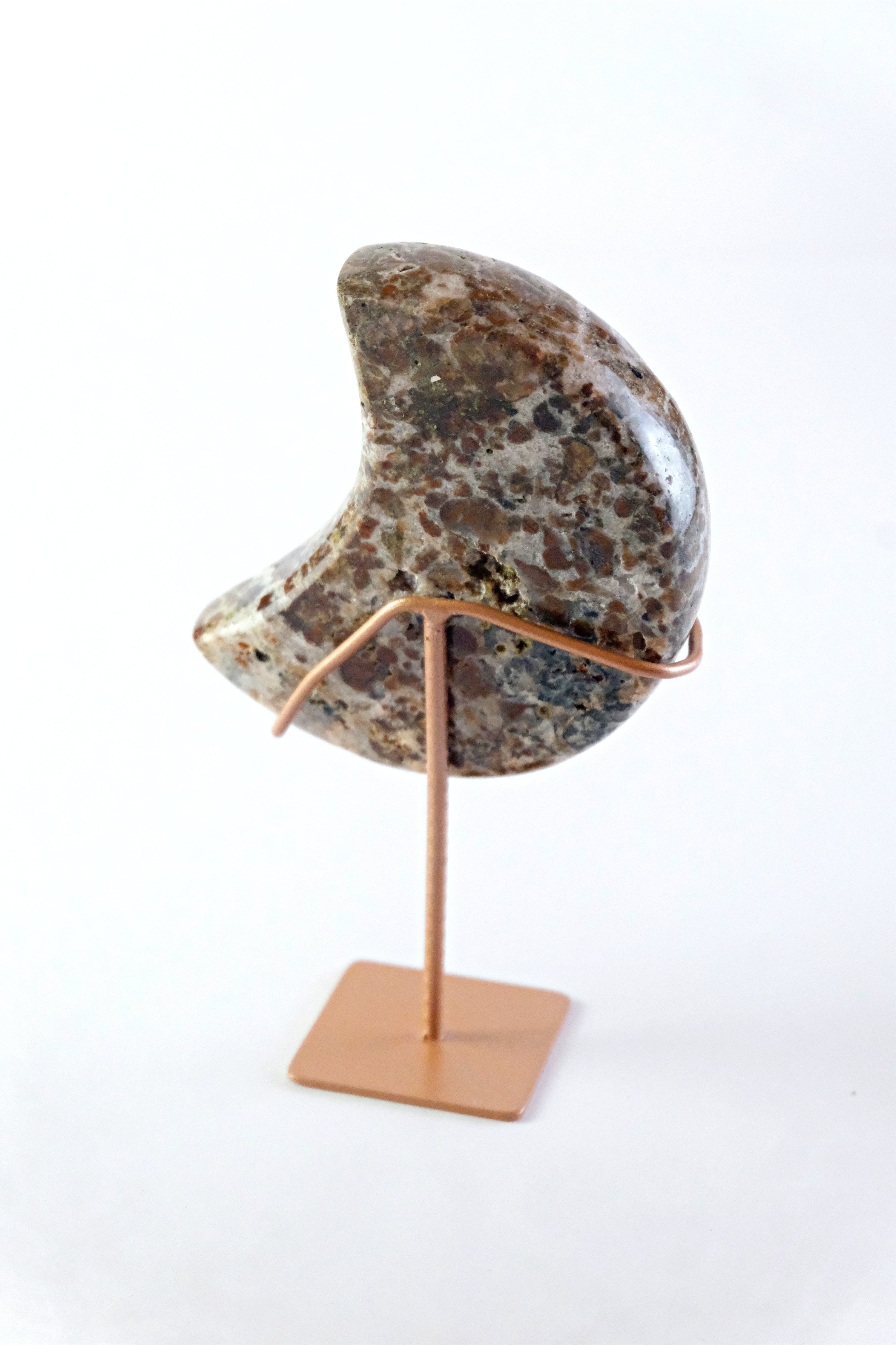 Wild Instincts | Leopard Skin Jasper