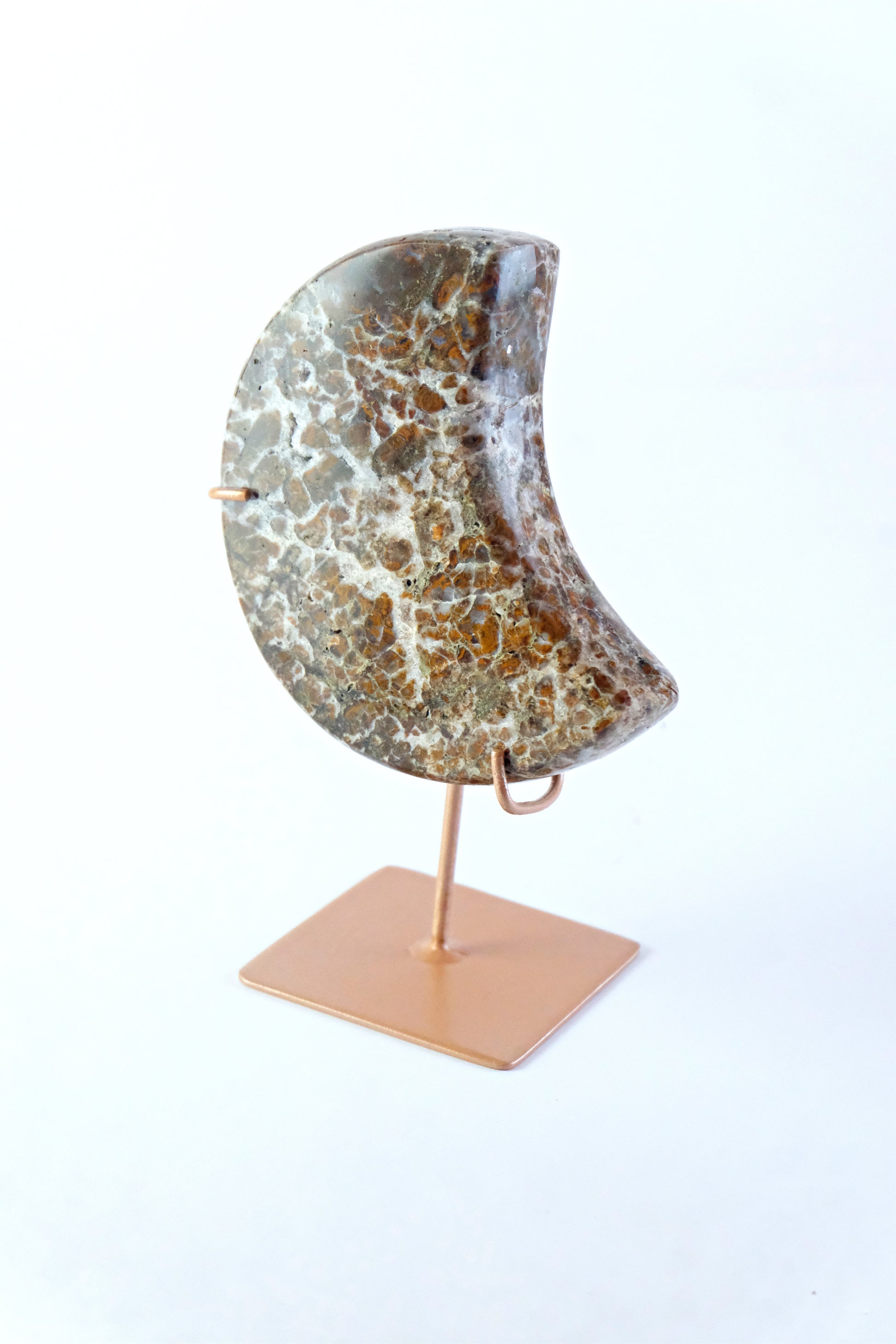 Wild Instincts | Leopard Skin Jasper